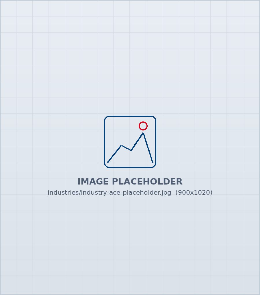 ACE Industry industry